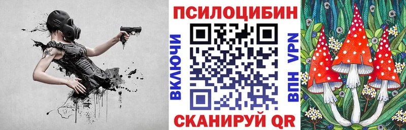 Галлюциногенные грибы Psilocybine cubensis  наркошоп  Златоуст 