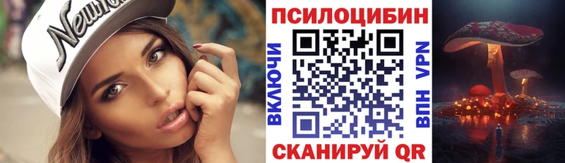 Псилоцибиновые грибы Psilocybe Златоуст