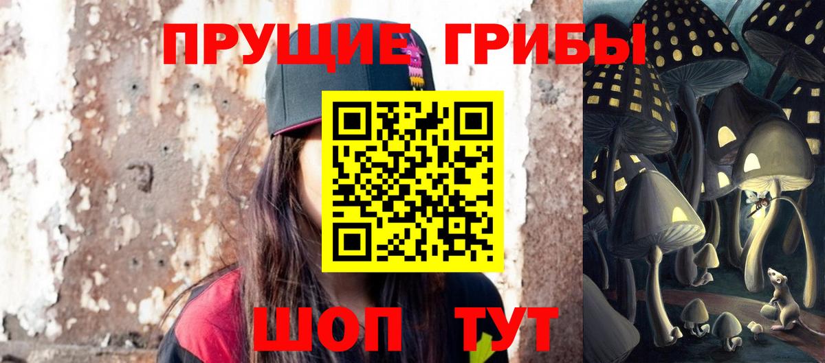 Псилоцибиновые грибы Cubensis Златоуст