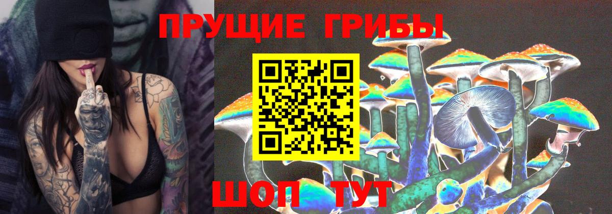 Златоуст  Галлюциногенные грибы прущие грибы  Вход с VPN 