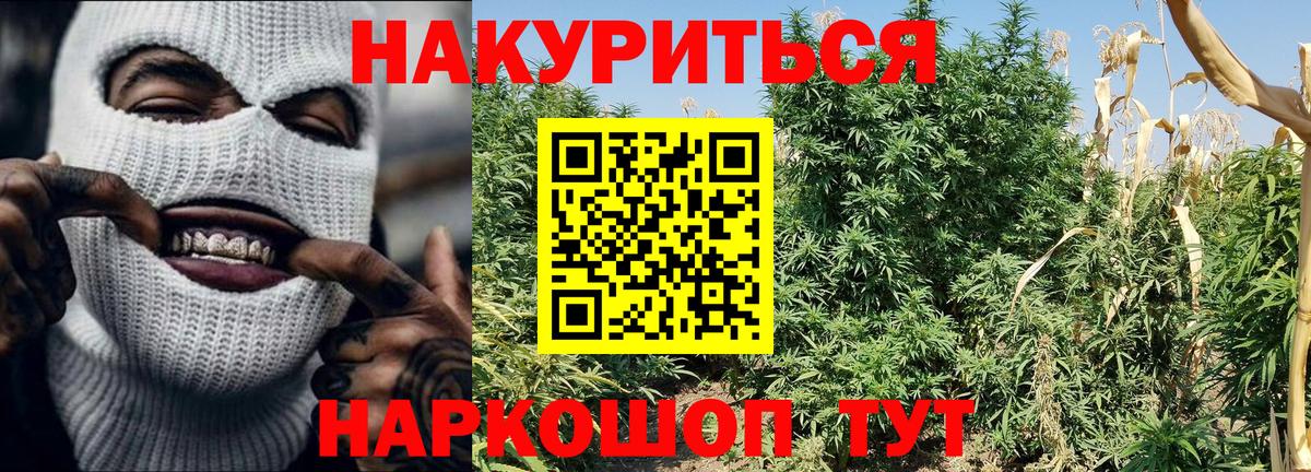 Канабис VHQ  Бошки Шишки семена  Златоуст  Вход с VPN 